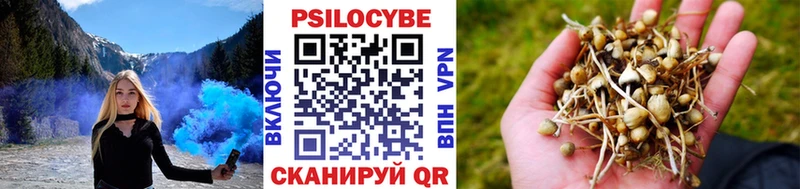 Псилоцибиновые грибы GOLDEN TEACHER  Купить где  Сокол 